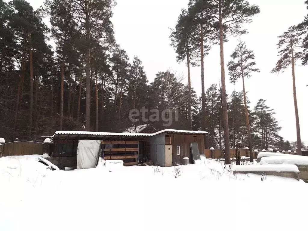 Участок в Новосибирская область, Новосибирск Ельцовка ДНТ,  (18.0 ... - Фото 1