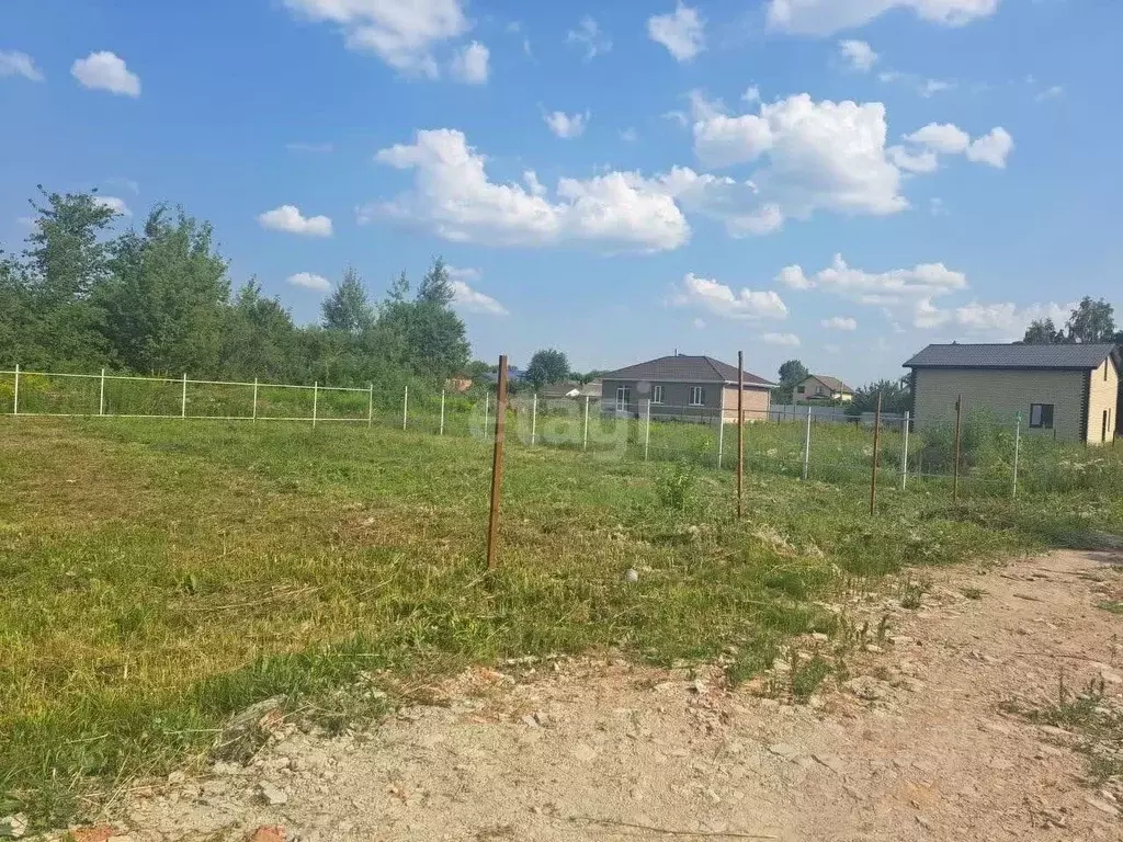 Участок в Воронежская область, Новоусманский район, с. Бабяково ... - Фото 0