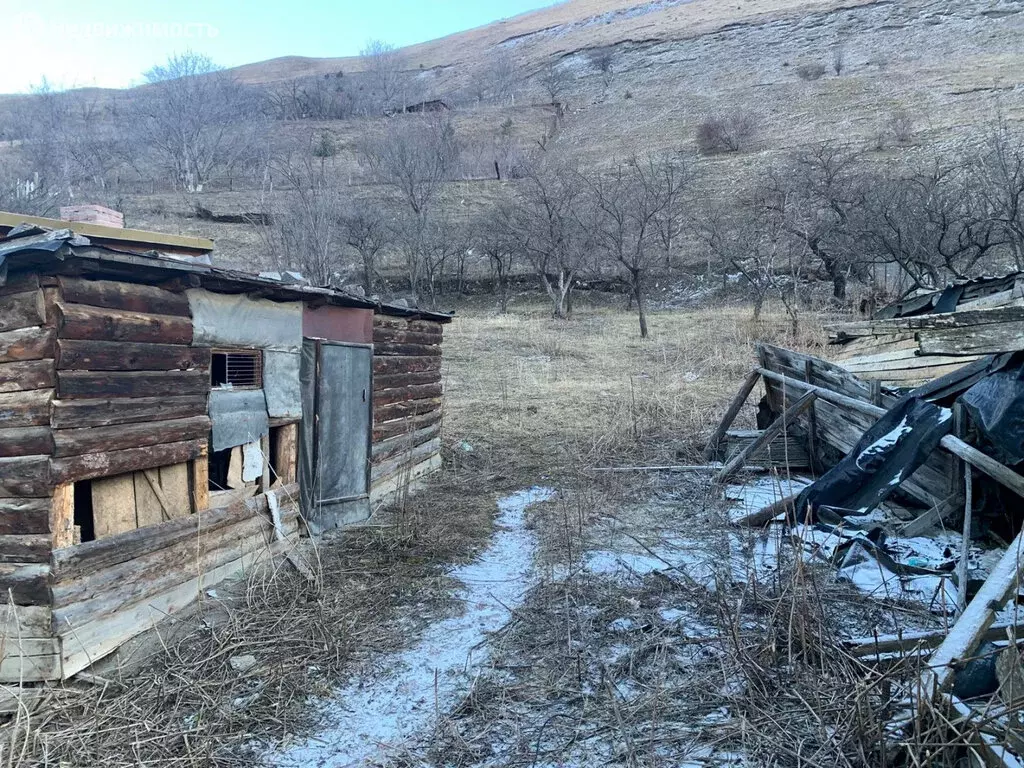верхний фиагдон бараны. фиагдон стадион. панорама фиагдон. погода в верхнем фиагдоне на 10. погода в верхнем фиагдоне на 10.