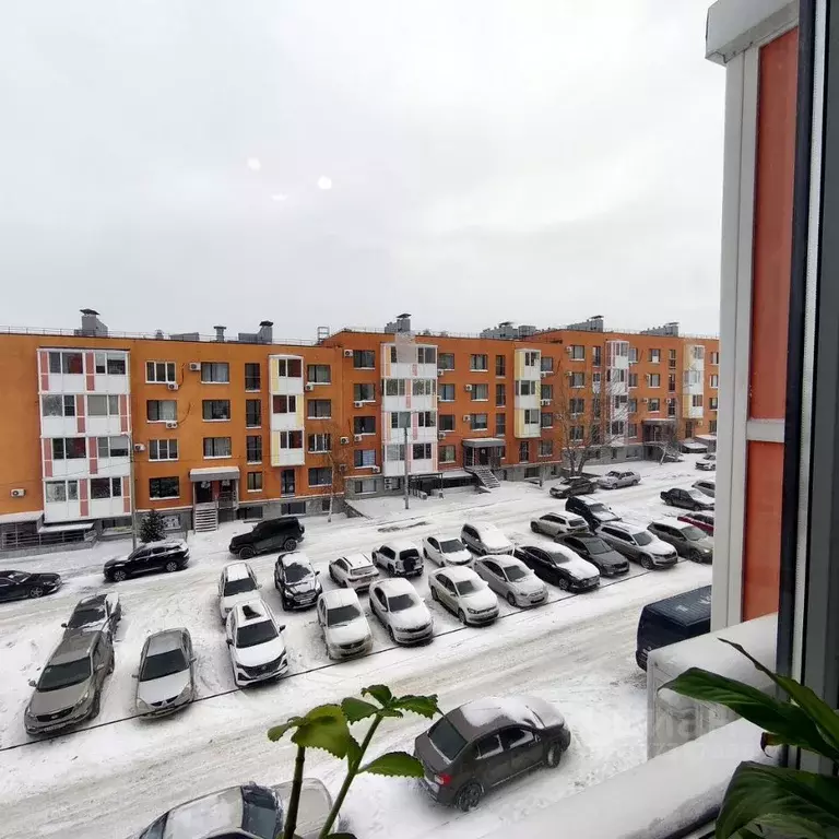 1-к кв. Волгоградская область, Волгоград ул. Грибанова, 24 (32.6 м) - Фото 2