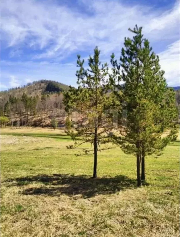 Участок в Алтай, Чемальский район, с. Чемал Алтайская ул., 17 (15.0 ... - Фото 1
