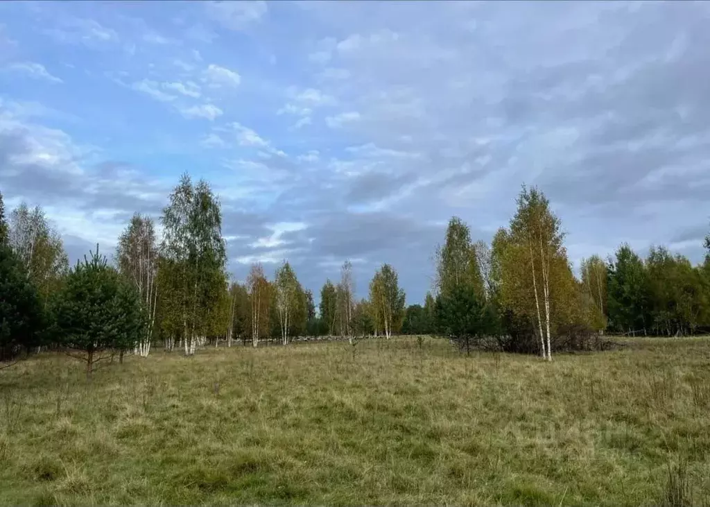 Участок в Ленинградская область, Выборгский район, Красносельское ... - Фото 1