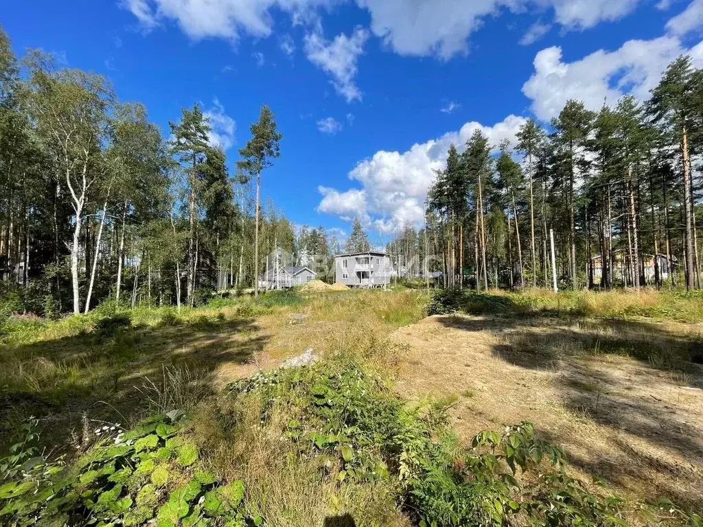 Участок в Ленинградская область, Всеволожский район, Токсовское ... - Фото 1