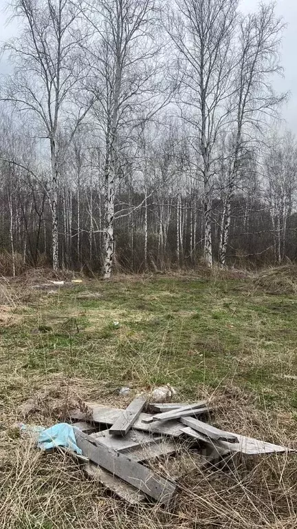 Участок в Новосибирская область, Новосибирский район, Каменский ... - Фото 1