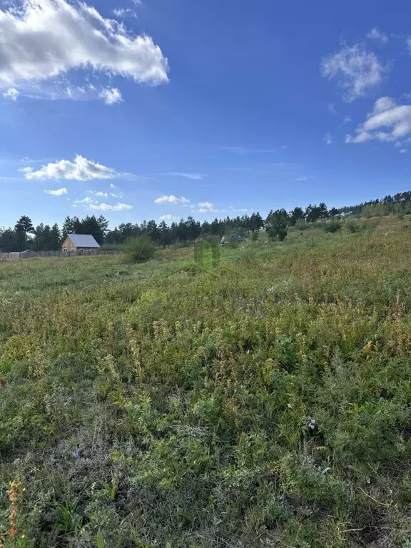Участок в Бурятия, Тарбагатайский район, Саянтуйское с/пос, с. Нижний ... - Фото 1