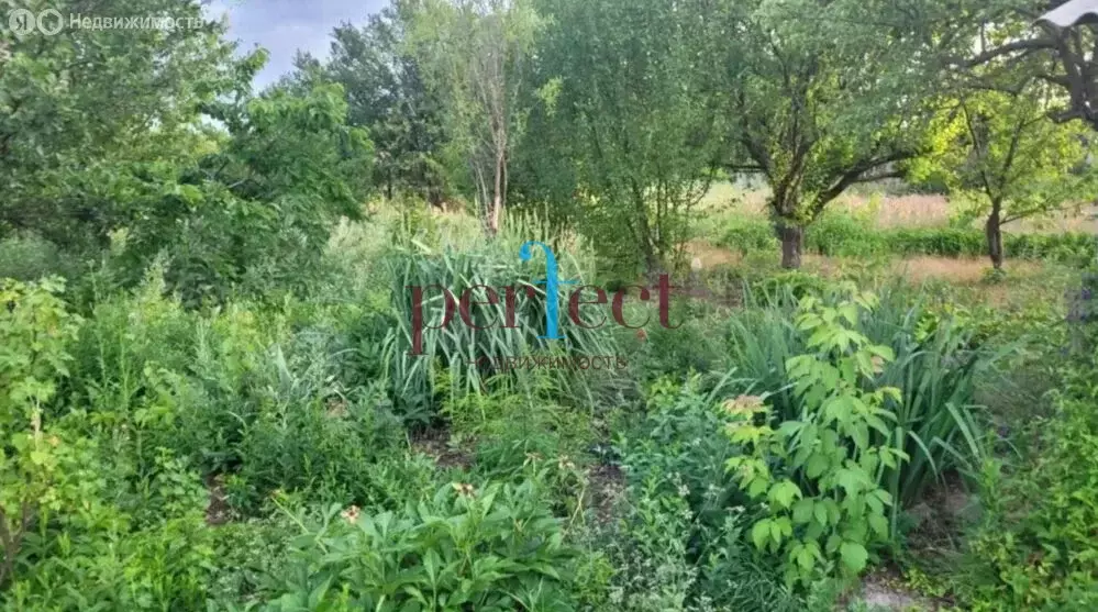 Дом в Чернышевское сельское поселение, село Кропоткино (20 м) - Фото 1