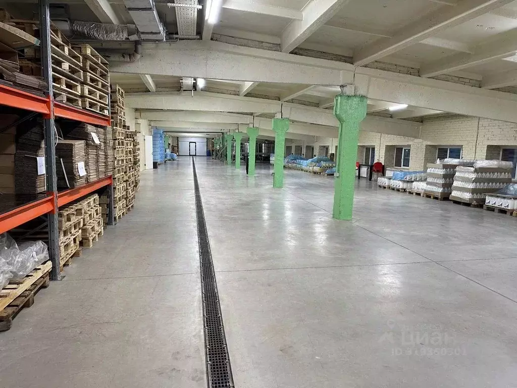 Помещение свободного назначения в Московская область, Чехов ... - Фото 1