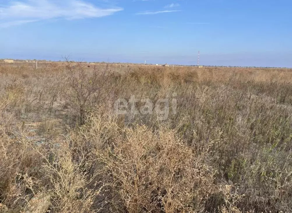 Участок в Крым, Раздольненский район, Славновское с/пос, Отдых СНТ  ... - Фото 1