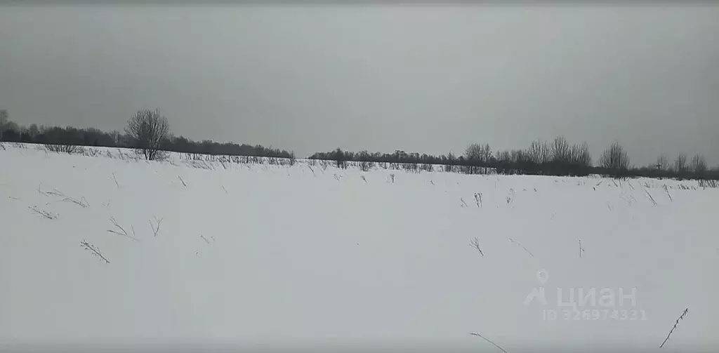 Участок в Московская область, Дмитровский муниципальный округ, д. ... - Фото 1