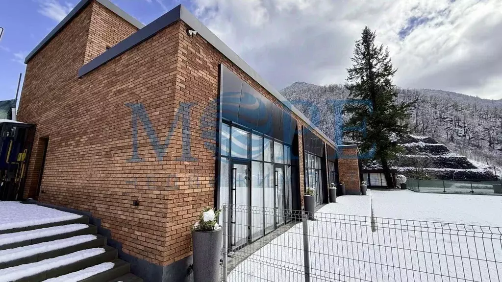 Помещение свободного назначения в Краснодарский край, Сочи городской ... - Фото 1