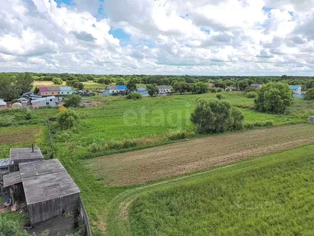 Участок в Хабаровский край, Имени Лазо район, с. Могилевка  (36.0 ... - Фото 2