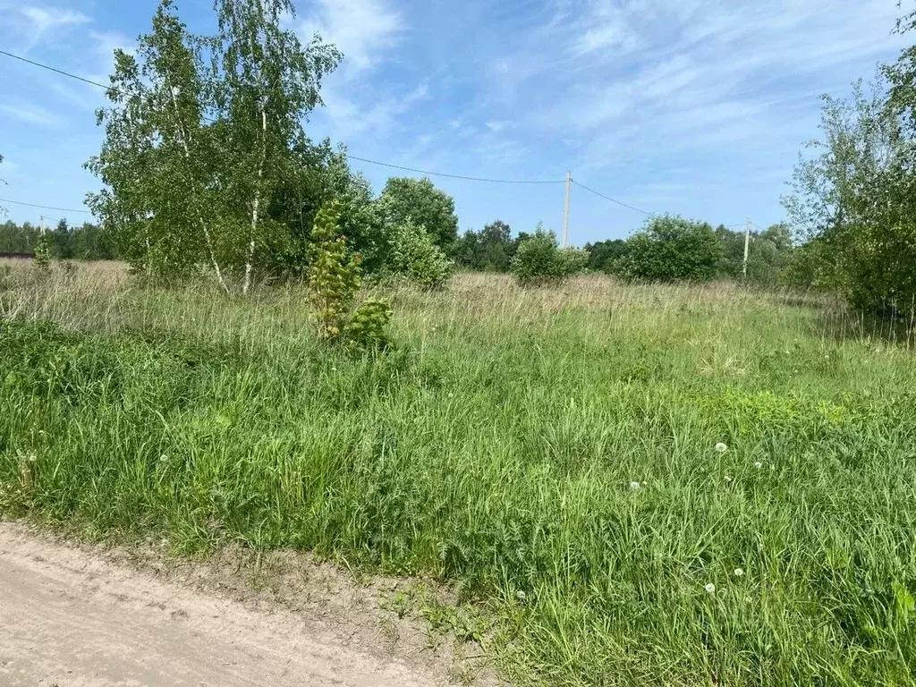 Участок в Московская область, Орехово-Зуевский городской округ, д. ... - Фото 0