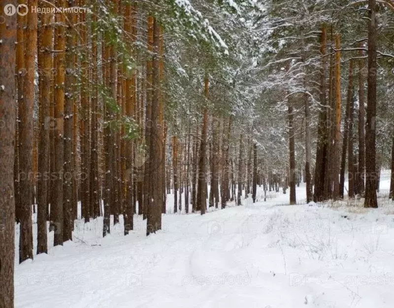 Участок в Лаишевский район, деревня Матюшино (6 м) - Фото 1