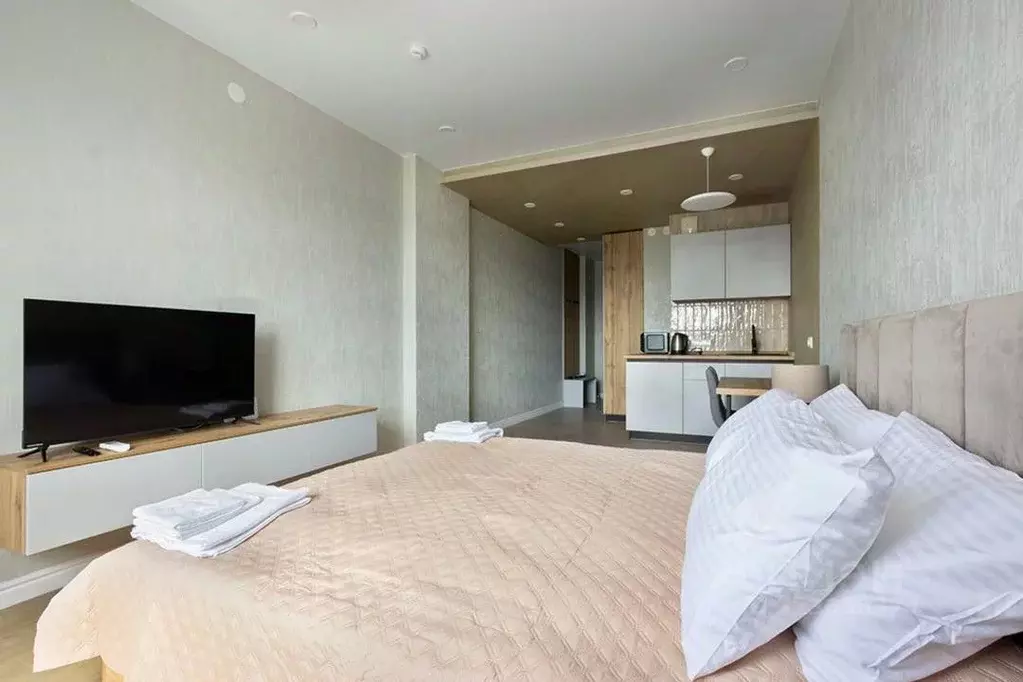 1-к кв. Красноярский край, Красноярск ул. Партизана Железняка, 38 ... - Фото 2