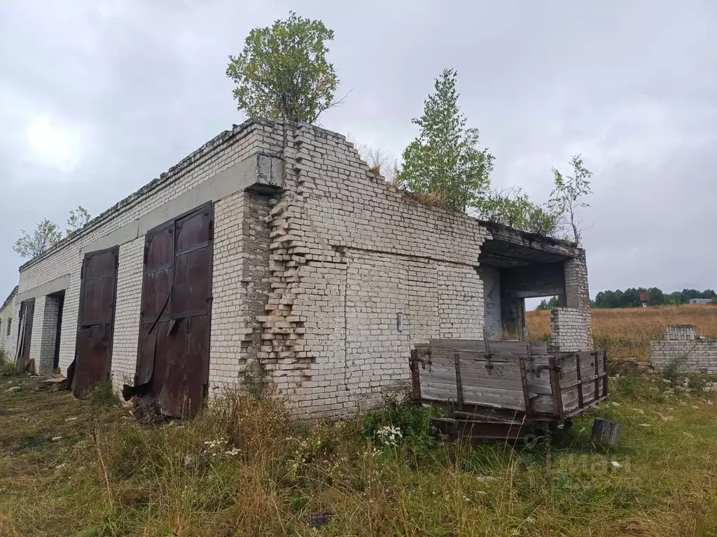 Гараж в Пермский край, Березники муниципальный округ, с. Щекино ул. ... - Фото 2