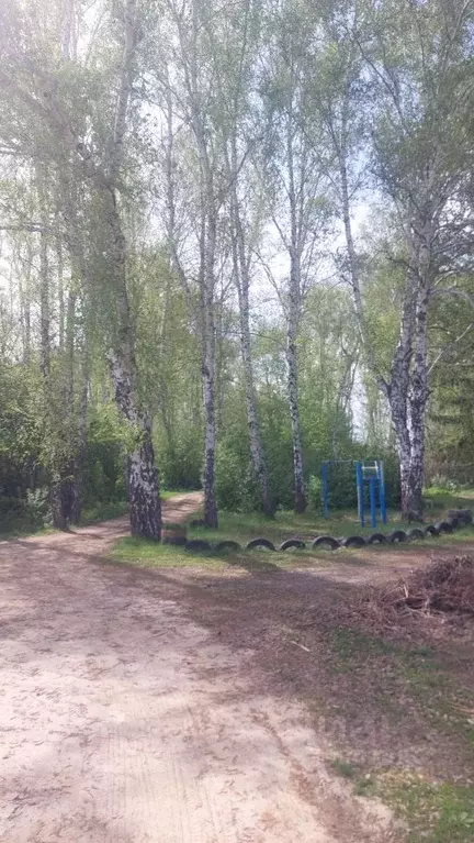 Дом в Омская область, Омск СОСН Аэрофлот тер., аллея 10-я (12 м) - Фото 2