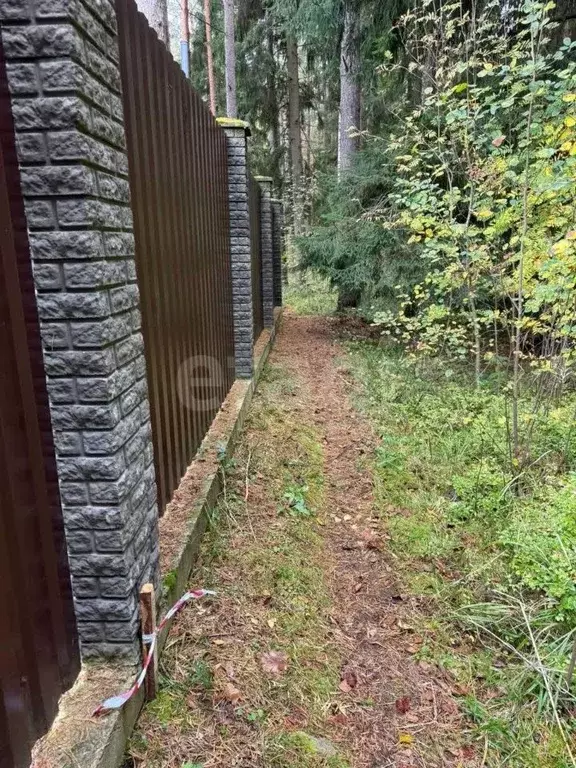 Участок в Ленинградская область, Всеволожский район, Рахьинское ... - Фото 2