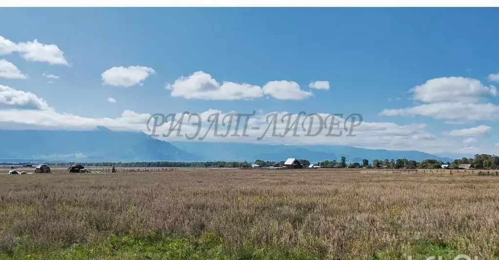 Участок в Алтай, Усть-Коксинский район, с. Чендек Зеленая ул. (18.0 ... - Фото 0