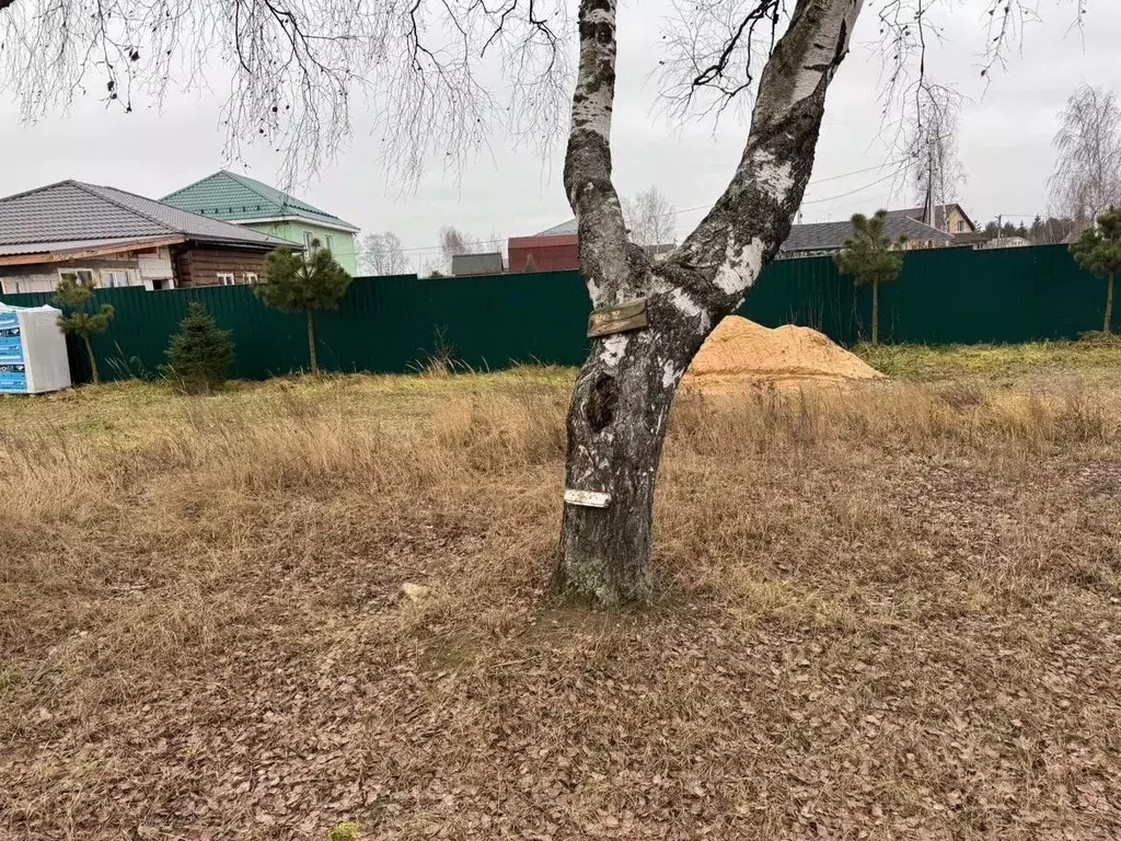 Участок в Московская область, Богородский городской округ, д. Шульгино ... - Фото 2