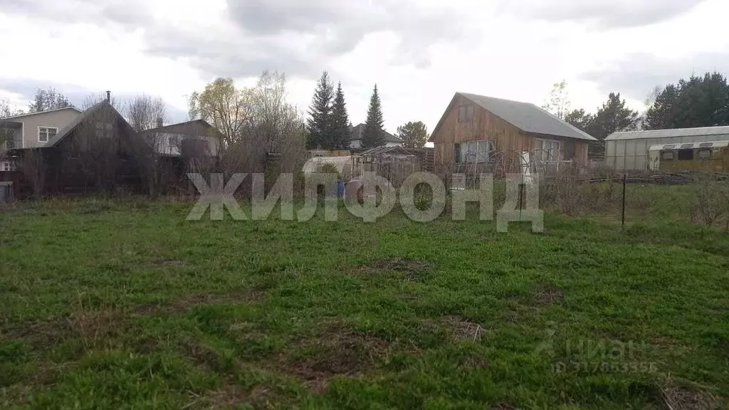 Участок в Новосибирская область, с. Новолуговое ул. Восточная (6.0 ... - Фото 1
