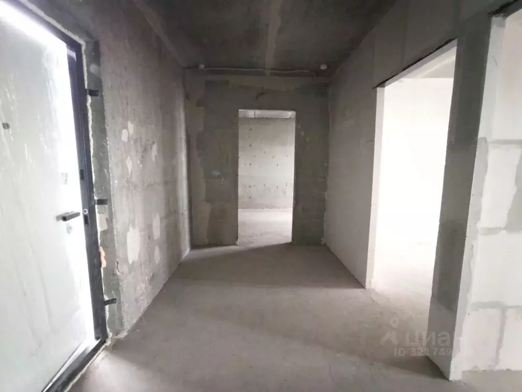 3-к кв. Пензенская область, Пензенский район, Засечный сельсовет, с. ... - Фото 2