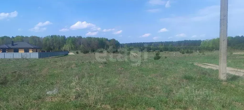 Участок в Брянская область, Брянский район, Новодарковичское с/пос, д. ... - Фото 0