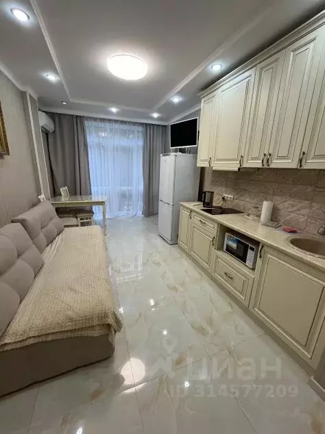 1-к кв. Краснодарский край, Сириус пгт ул. Нагорный Тупик, 13Б (34.7 ... - Фото 0