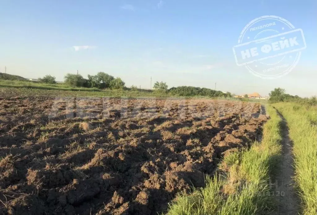 Участок в Ростовская область, Аксайский район, Грушевская ст-ца ... - Фото 1