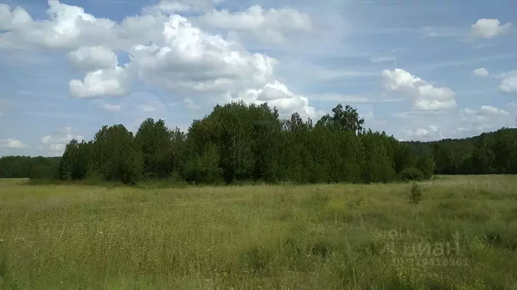 Участок в Красноярский край, Емельяновский район, Никольский ... - Фото 0