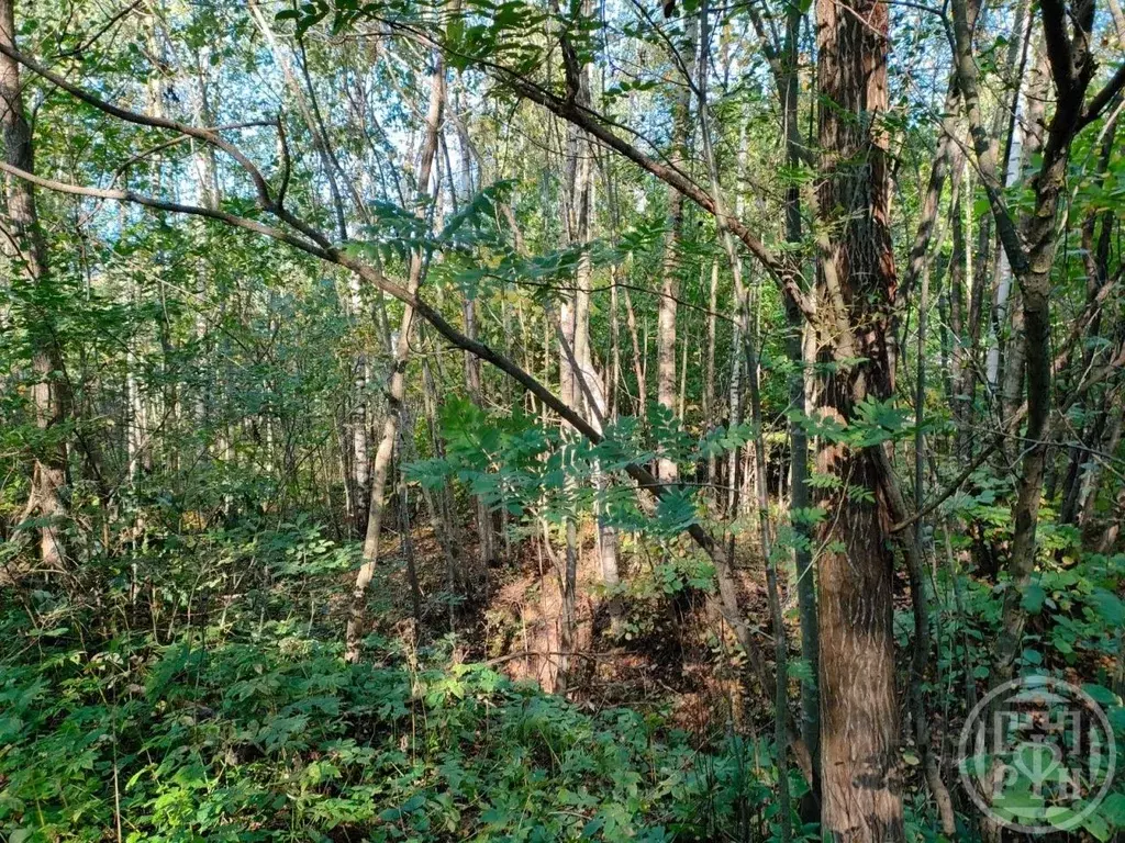 Участок в Ленинградская область, Ломоносовский район, Виллозское ... - Фото 2