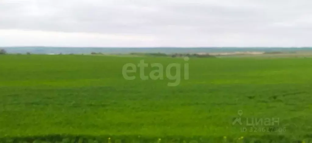 Участок в Крым, Ленинский район, Семисотское с/пос, с. Каменское ул. ... - Фото 0