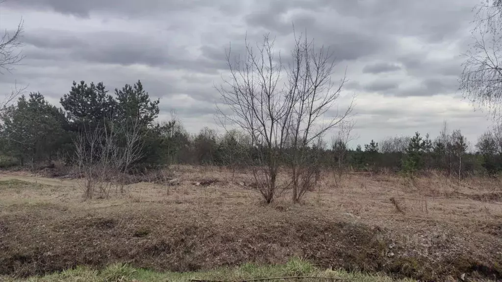 Участок в Московская область, Богородский городской округ, д. Пашуково ... - Фото 1