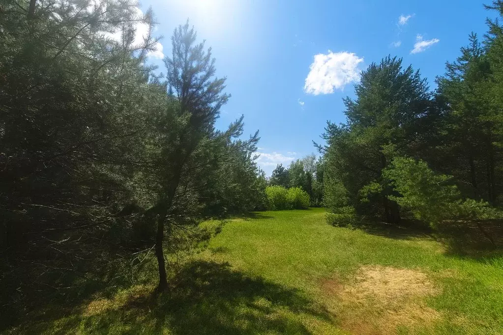 Участок в Московская область, Мытищи городской округ, д. Троице-Сельцо ... - Фото 2