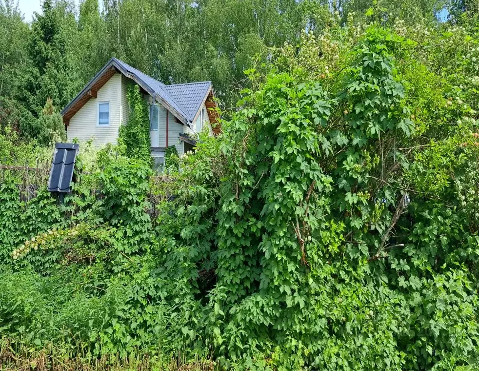 Участок в Московская область, Мытищи городской округ, с. Марфино ул. ... - Фото 1
