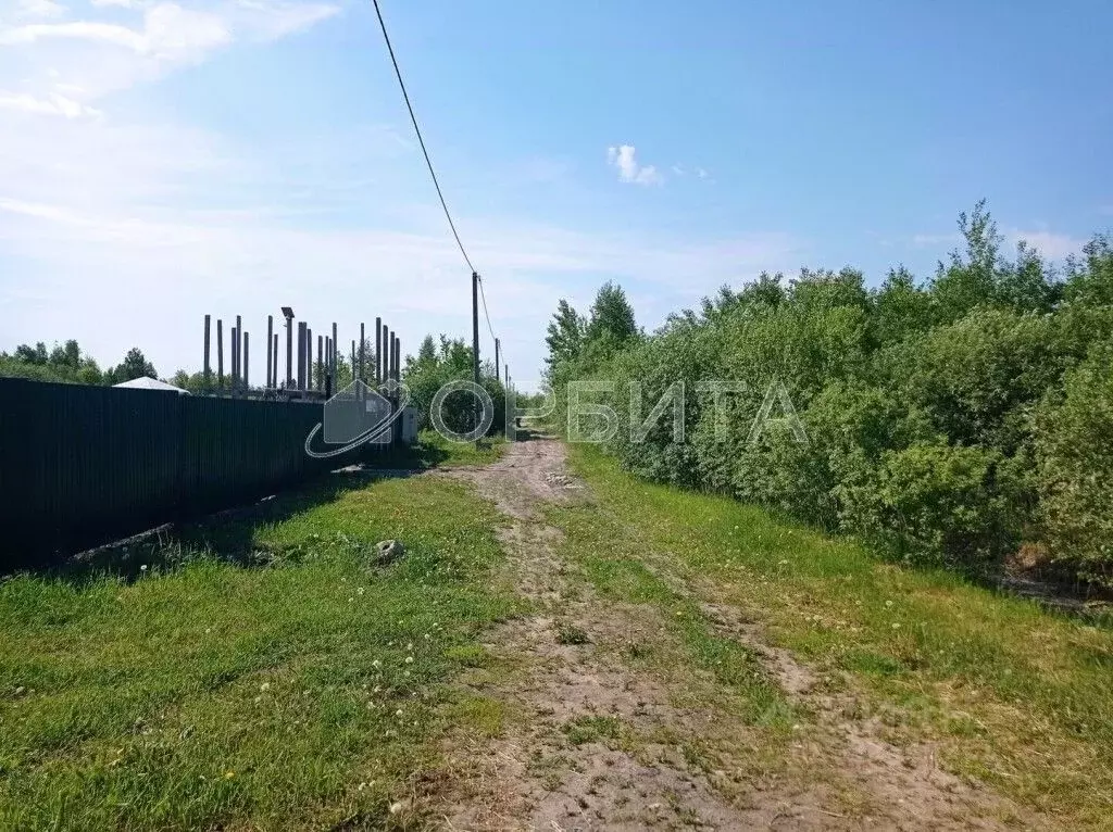 Участок в Тюменская область, Тюмень Садовое товарищество Липовый ... - Фото 2