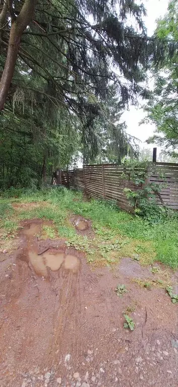 Участок 5,7 сот. (СНТ, ДНП) - Фото 1