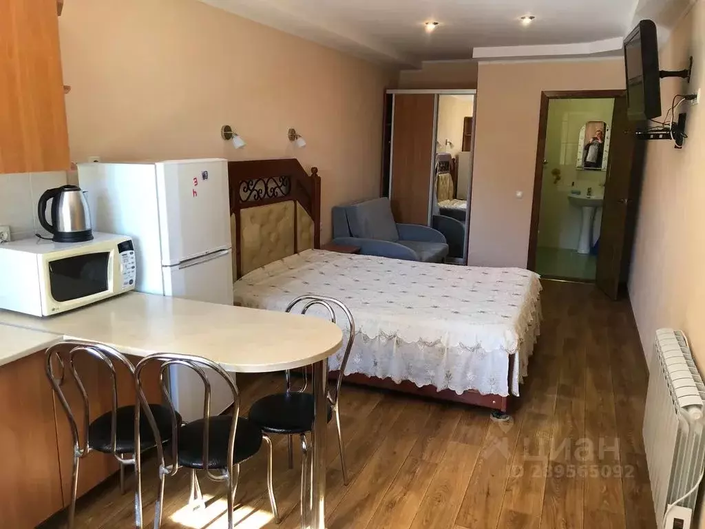 Студия Крым, Евпатория ул. Московская, 22А (27.0 м) - Фото 1