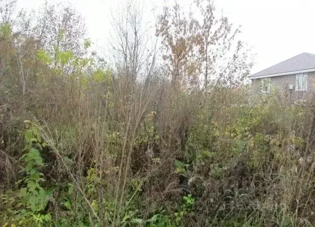 Участок в Московская область, Коломна городской округ, с. Акатьево ул. ... - Фото 1