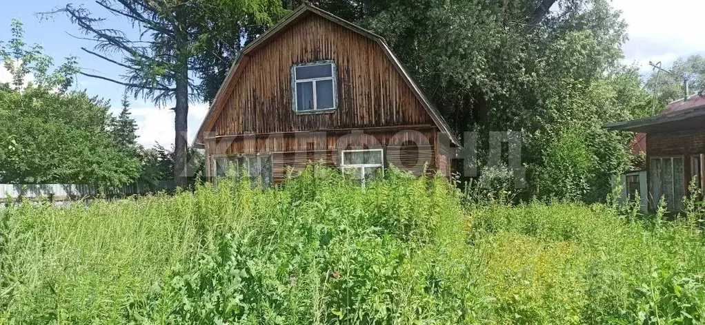 Участок в Новосибирская область, Новосибирск Ивушка СНТ, ул. Заречная ... - Фото 2