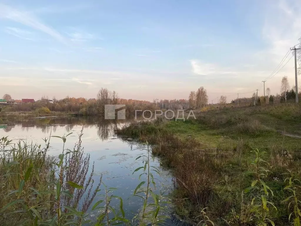 Участок в Новосибирская область, Новосибирский район, Кубовинский ... - Фото 1