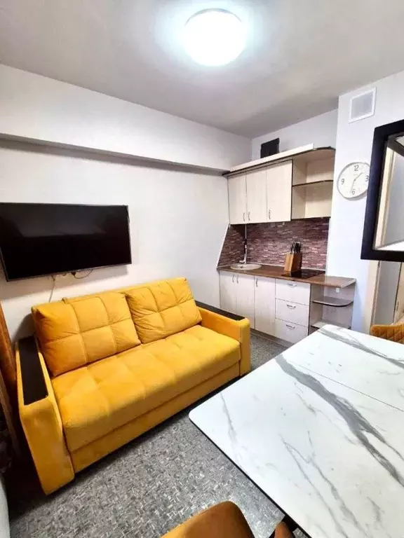 1-к кв. Иркутская область, Иркутский муниципальный округ, д. ... - Фото 2