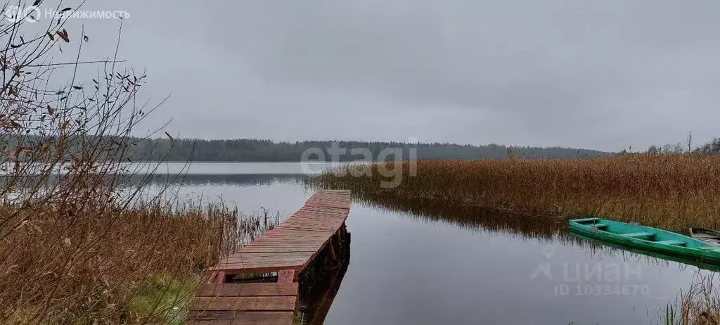 участок в ленинградская область, гатчинский муниципальный округ, . - Фото 0