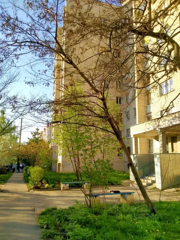 2-к кв. Курская область, Курск ул. Парижской Коммуны, 71 (50.0 м) - Фото 2