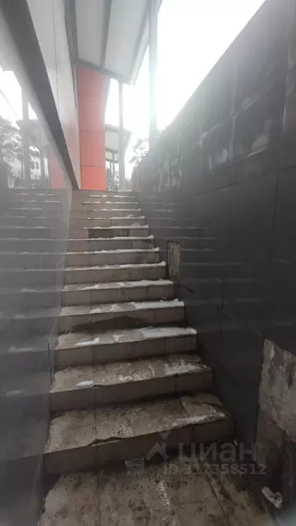 Помещение свободного назначения в Московская область, Раменский ... - Фото 0