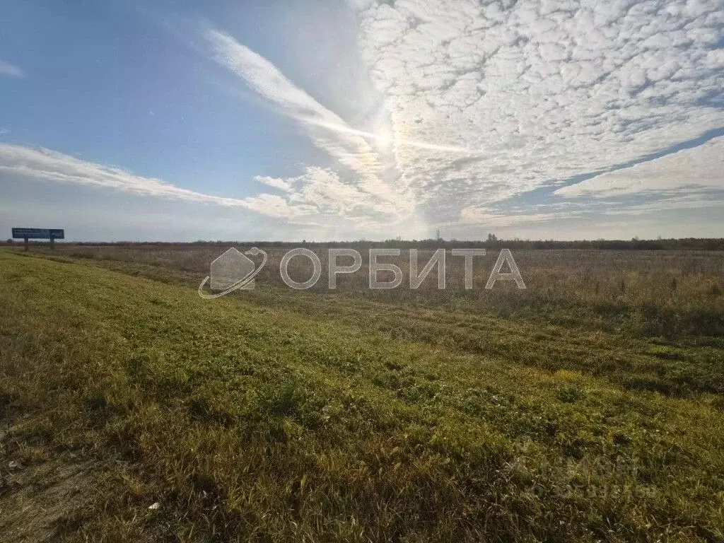 Участок в Тюменская область, Тюменский муниципальный округ, с. Щербак  ... - Фото 2