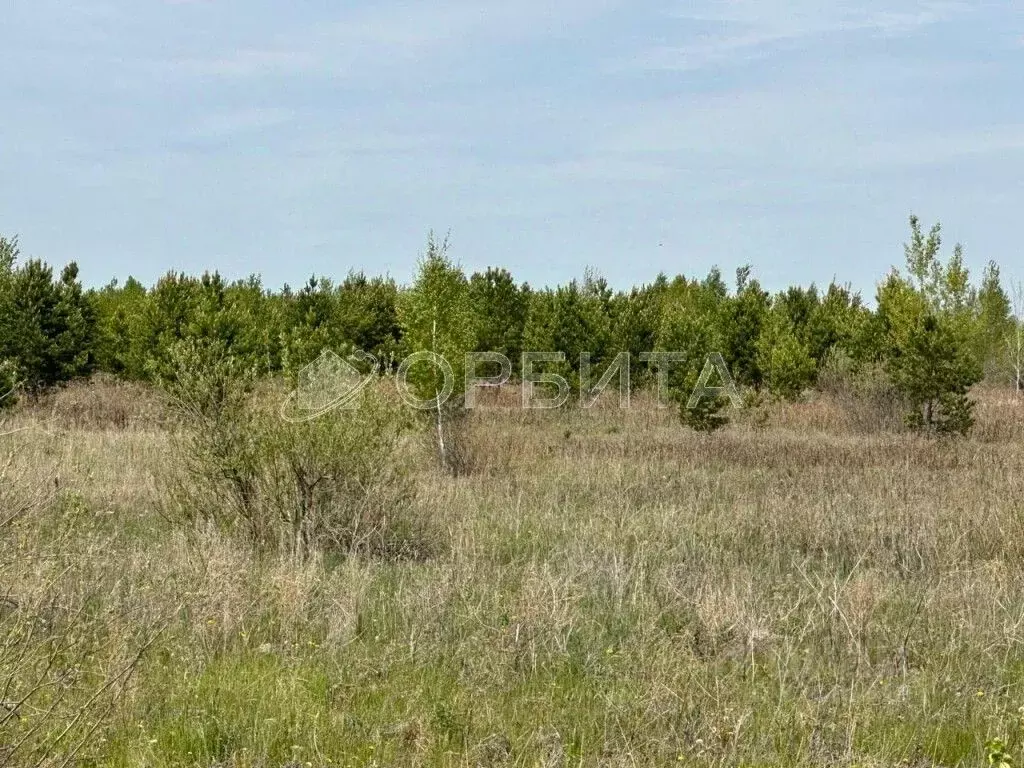 Участок в Тюменская область, Тюменский район, с. Кулаково ул. ... - Фото 0