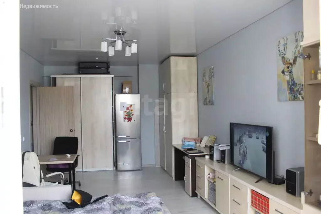 Квартира-студия: Ростов-на-Дону, улица Висаитова, 6/10 (27 м) - Фото 0