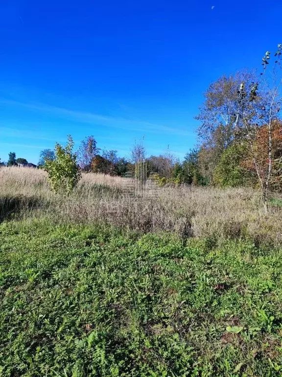 Участок в Владимирская область, Суздальский район, с. Павловское ... - Фото 1