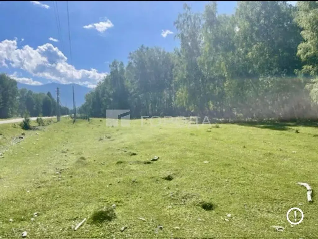 Участок в Алтай, Усть-Коксинский район, с. Мульта Школьная ул. (35.0 ... - Фото 1