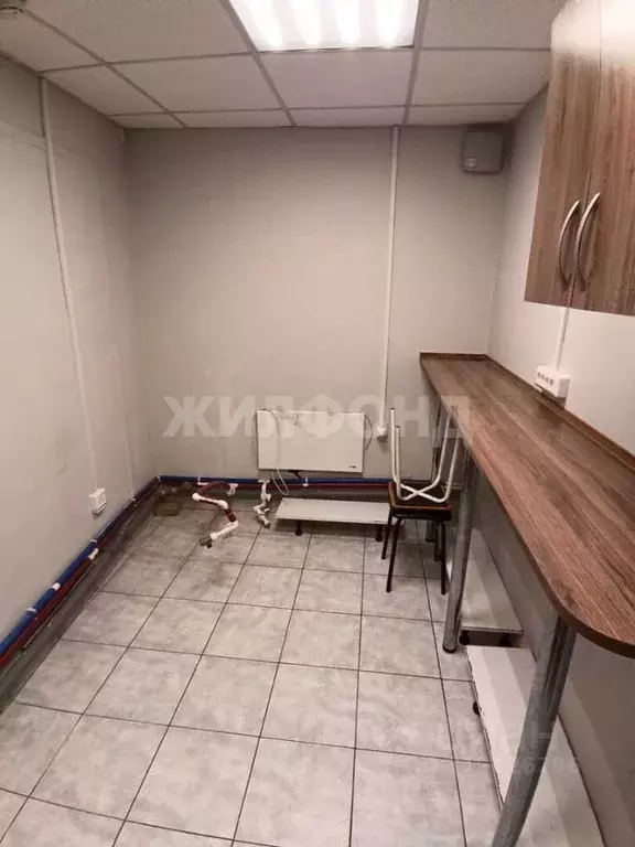 Помещение свободного назначения в Новосибирская область, Новосибирск ... - Фото 1